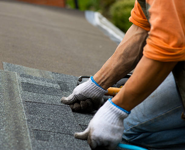 Best Shingle Roofing Installation  in Priest River, ID